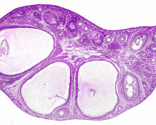 南方医院地址_蓝色宝贝助孕包男孩,深圳试管费用大约多少