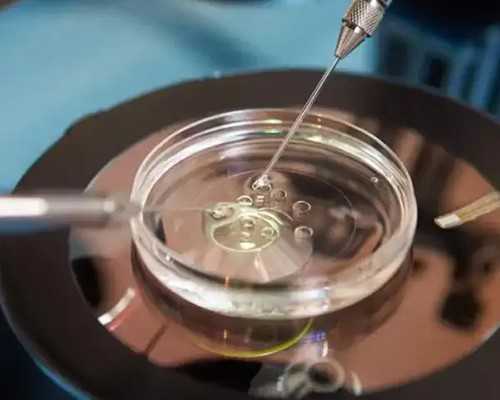 最权威的代孕试管医院,
              9个月宝宝在不影响喂奶的同时，应该每天添