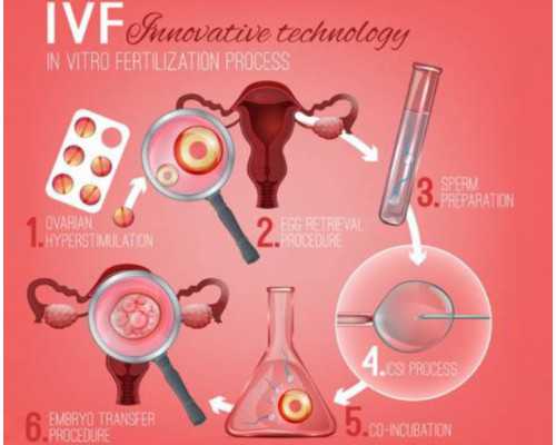 咨询代孕公司电话_全国试管前百名医院,c级胚胎养囊的成功率很低还能着床成功