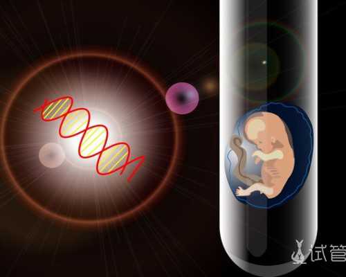 女明星被曝海外代孕生子？关于代孕、冻卵的真