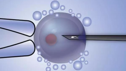 【独家】奶粉品牌如何去留?他是这样说的......