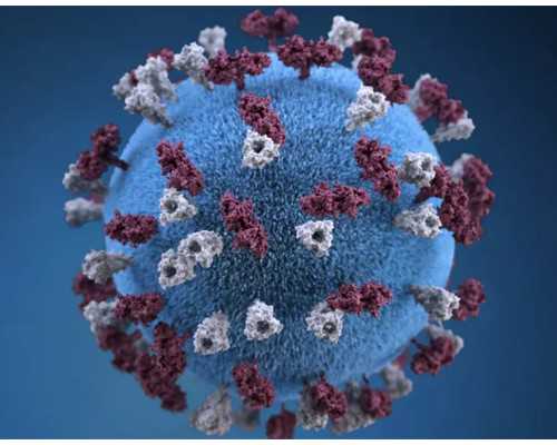 男性备孕吃什么保健品(女性备孕吃什么保健品)