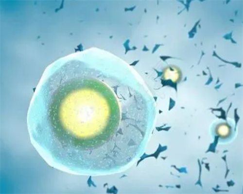 环球代孕中介(神州中泰哪里能代孕),闭经试管婴儿后孕妈妈可以化妆吗