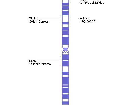 供卵试管需要什么证件，捐卵排队需要什么证件
