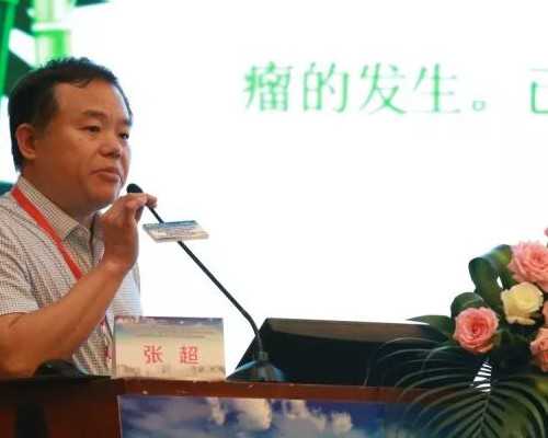 知音故事—代孕