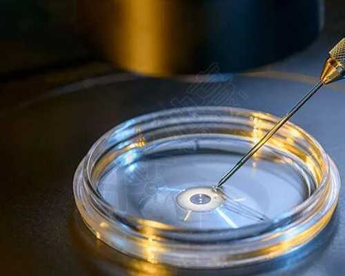 为了你，我们整理了美国供卵试管婴儿流程和时间