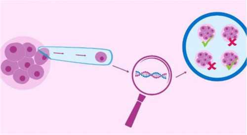 国内能做借卵试管_代孕网供卵,10秒测出怀男孩和女孩的方法【汇总】