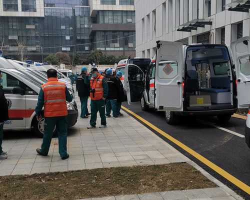 借卵生子上户口+国内代孕哪里便宜,试管移植用艾叶泡脚好处多，帮助胚胎着床