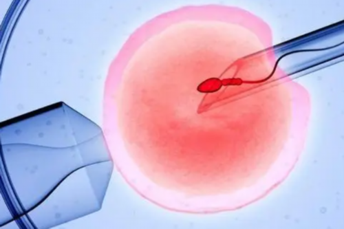 武汉华中科技大学同济医院能做供卵试管婴儿吗?附医院具体开展的项目