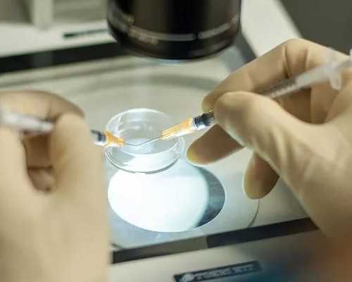 供卵代孕哪家靠谱，代孕电话多少,涨知识!同房后7天内是否着床从这些症状即可