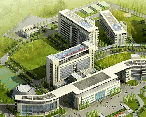 拜耳爱乐维男士玛咖锌羊藿胶囊有用吗