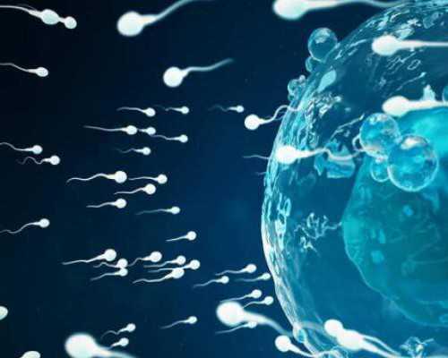 代孕qq群，代孕公司哪里成功率最高,鼓楼医院做三代试管婴儿多少钱